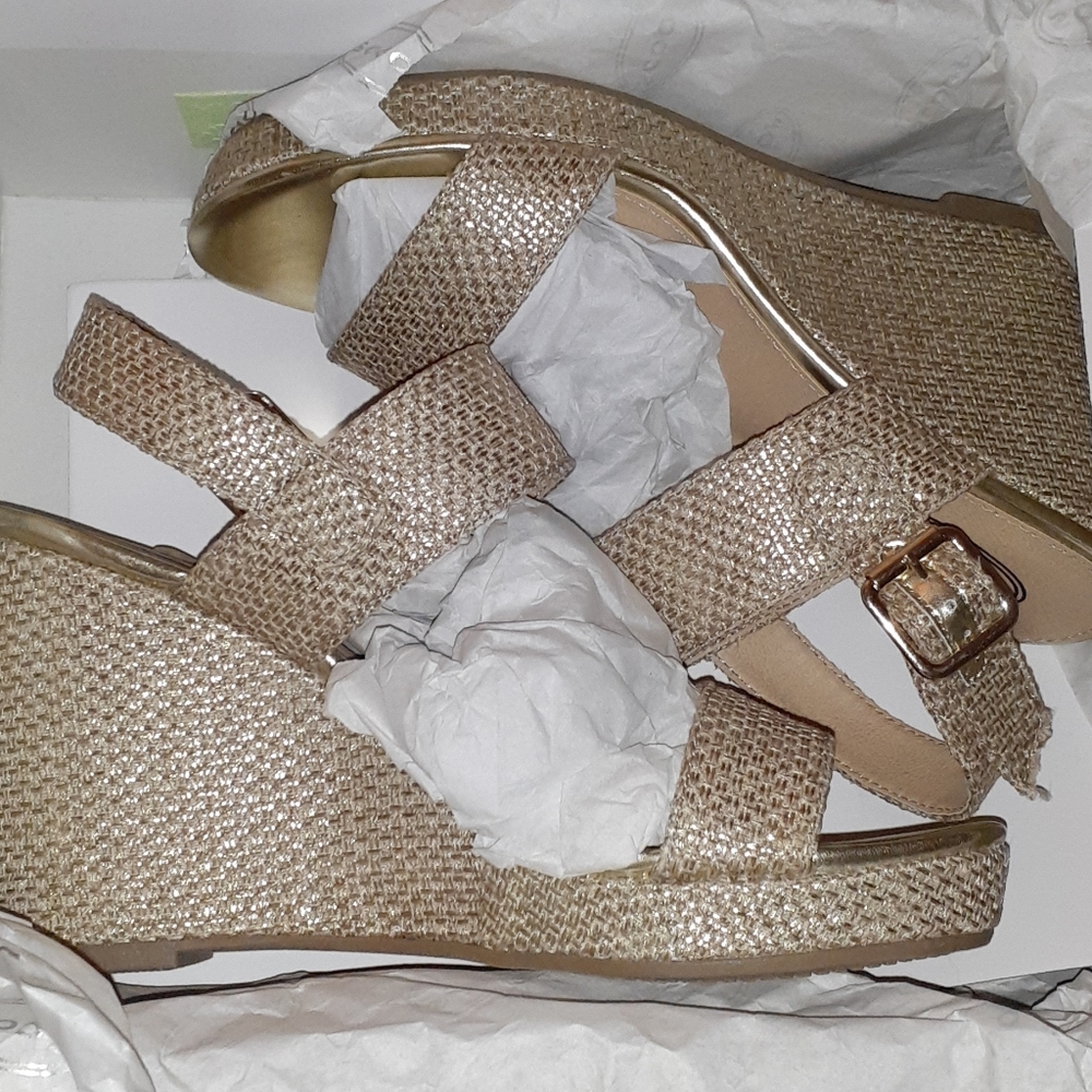 Wedge Sandals